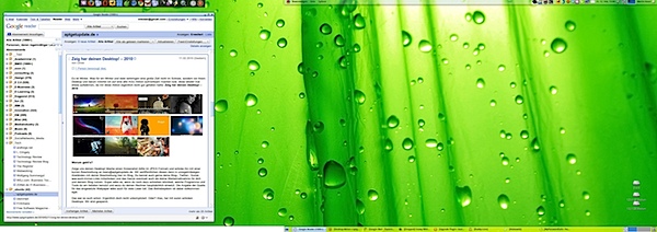 desktop_frogpond.jpg
